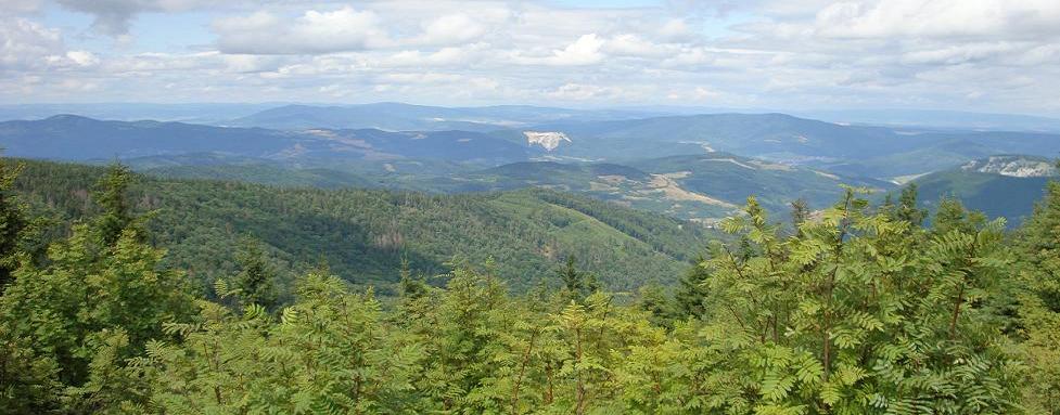 panorama z Kojsovky